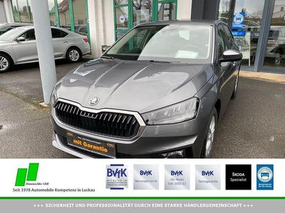 Neu Skoda Fabia Selection 95 PS (69 kW) 2026 Grau Kleinwagen