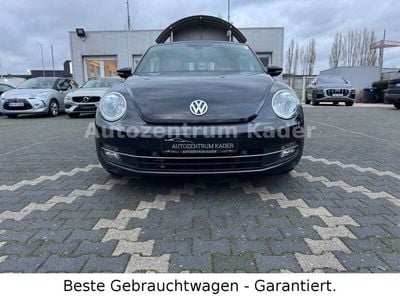 VW Beetle