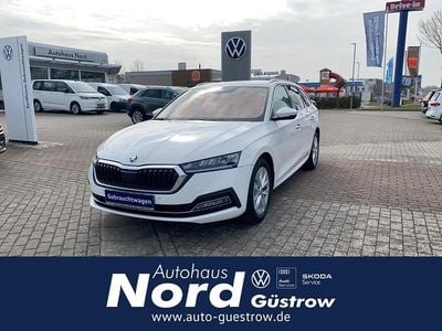 Gebraucht Skoda Octavia Style 150 PS (110 kW) 2022 Weiß Kombi