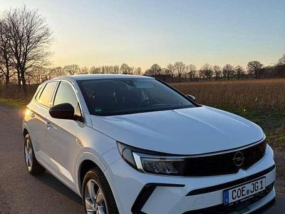 Gebraucht Opel Grandland X Elegance 224 PS (164 kW) 2023 Weiß SUV