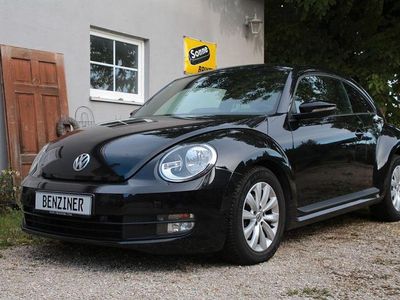VW Beetle