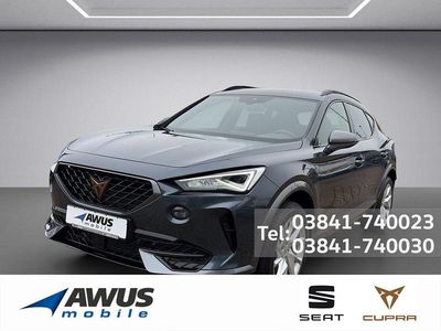 Gebraucht Cupra Formentor 150 PS (110 kW) 2023 Grau SUV