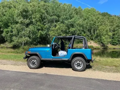 Gebraucht Jeep Wrangler 121 PS (88 kW) 1993 Blau SUV