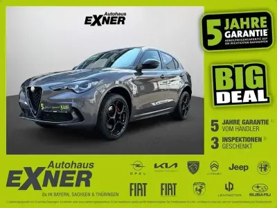 Gebraucht Alfa Romeo Stelvio Quadrifoglio 520 PS (382 kW) 2024 Grigio vesuvio SUV