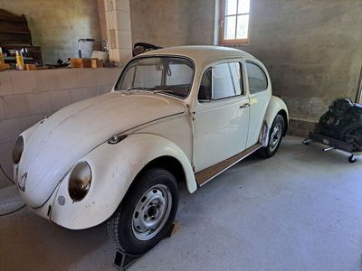 VW Käfer