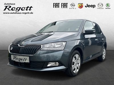 gebraucht Skoda Fabia Drive 125 1.0 MPI EU6d-T Sperrdiff. ACC Appl