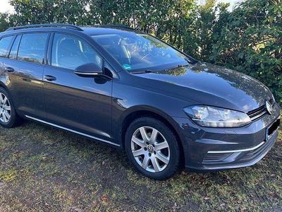 Grau Gebraucht 2019 VW Golf VII Comfortline Kombi | 11.900 € (Guter Preis)