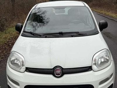 Gebraucht Fiat Panda Easy 69 PS (50 kW) 2015 Weiß Kleinwagen