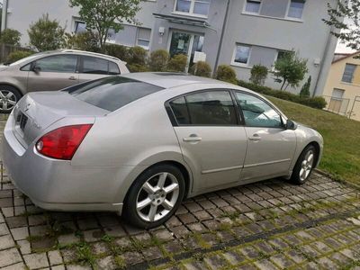 gebraucht Nissan Maxima amerikanische Model