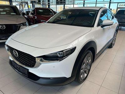 Gebraucht Mazda CX-3 Selection 122 PS (89 kW) 2019 Snowflake white SUV