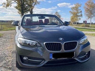 Gebraucht BMW 220 Sport Line 184 PS (135 kW) 2016 Grau Cabrio