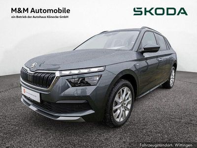Usata Skoda Kamiq Clever 110 CV (80 kW) 2021 Grigio SUV