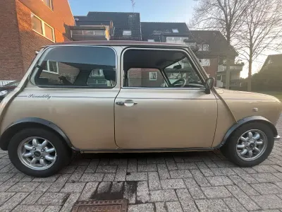Gebraucht Austin Mini 75 PS (55 kW) 1986 Gold Kleinwagen