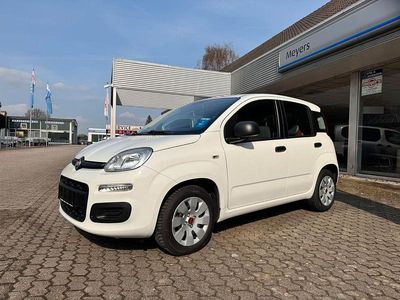 Gebraucht Fiat Panda Mystyle 69 PS (50 kW) 2015 Weiß Kleinwagen