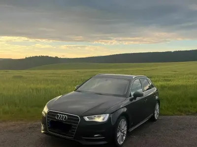 Gebraucht Audi A3 110 PS (80 kW) 2014 Kombi