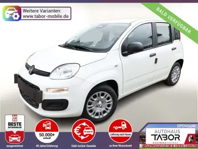 Brugt Fiat Panda
