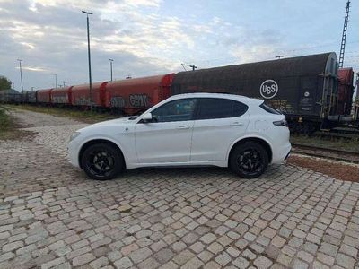 gebraucht Alfa Romeo Stelvio Quadrifoglio Q4 2Hd Pano, Assistenten Memory...