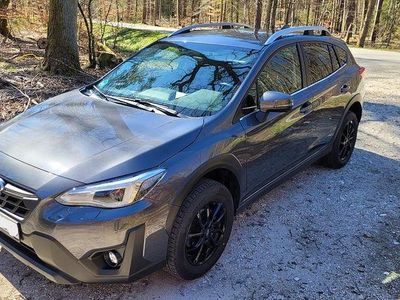 Gebraucht Subaru XV Comfort 114 PS (83 kW) 2024 Grau SUV