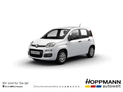Neu Fiat Panda Icon 65 PS (47 kW) 2026 Gelato weiß Kleinwagen