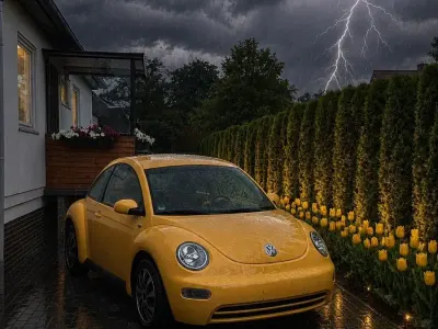 Gebraucht VW New Beetle