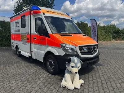 Gebraucht Mercedes Sprinter 163 PS (119 kW) 2015 Beklebt Van