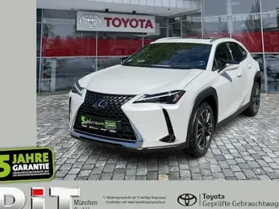 Gebraucht Lexus UX 250h Executive Line 184 PS (135 kW) 2023 Weiß SUV