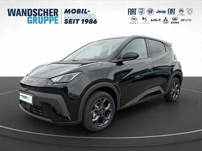 Neu BYD Dolphin Surf Comfort 114 kW (156 PS) 2025 Schwarzschwarz Kleinwagen