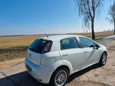 Gebraucht Fiat Punto 69 PS (50 kW) 2013 Weiß Kleinwagen