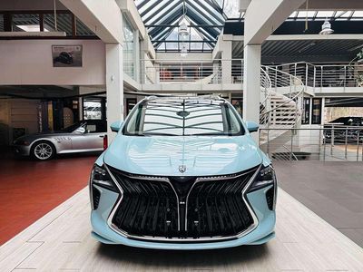 M4 grün Neu 2025 Forthing Yacht/4 U-Tour Van / Kleinbus | 30.995 € (Fairer Preis)