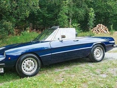 Gebraucht Alfa Romeo Spider 131 PS (96 kW) 1976 Blau Cabrio