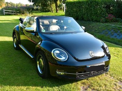 VW Beetle
