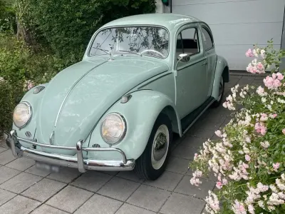 Gebraucht VW Käfer 40 PS (29 kW) 1963 Kleinwagen