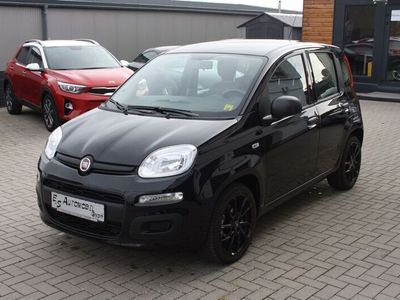 gebraucht Fiat Panda Base Hybrid ** TOP ** 5000km **