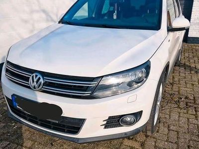Gebraucht VW Tiguan Life 160 PS (117 kW) 2013 Weiß SUV