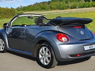 VW Beetle