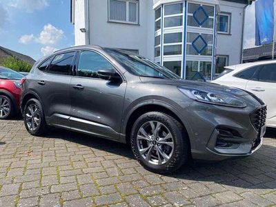 Używany Ford Kuga ST-Line X 150 KM (110 kW) 2020 Szary SUV
