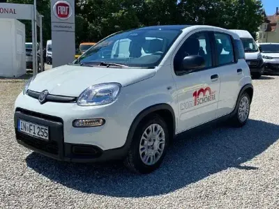 Gebraucht Fiat Panda Cross Cross 69 PS (50 kW) 2024 Weiß Kleinwagen