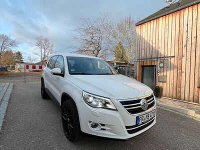 gebraucht VW Tiguan BJ.2011 Freestyle