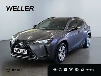 Lexus UX 250h