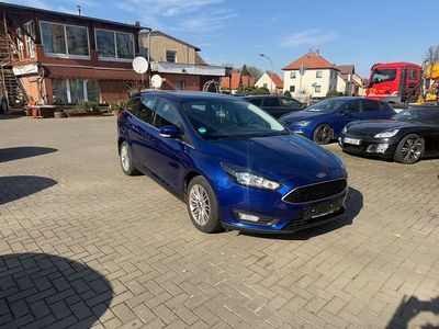 Usata Ford Focus Cool & Connect 125 CV (91 kW) 2017 Blu Station wagon