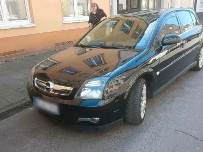 Usata Opel Signum