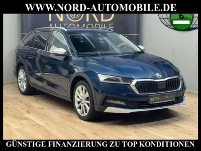Gebraucht Skoda Octavia Scout 150 PS (110 kW) 2023 Blau Kombi
