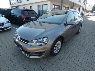 Usata VW Golf VII LOUNGE 125 CV (91 kW) 2015 Grigio Station wagon