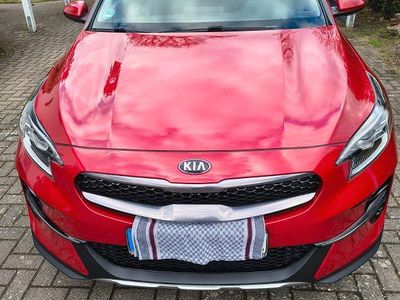 Gebraucht Kia XCeed Vision 160 PS (117 kW) 2022 Rot SUV