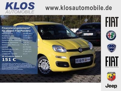 Neu Fiat Panda Icon 65 PS (47 kW) 2026 Gelb Kleinwagen