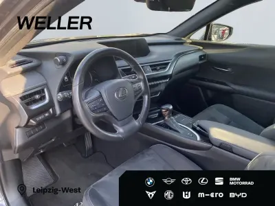 Gebraucht Lexus UX 250h 152 PS (111 kW) 2022 Grau SUV