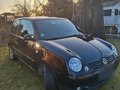 Gebraucht VW Lupo 65 PS (47 kW) 2002 Schwarz Kleinwagen