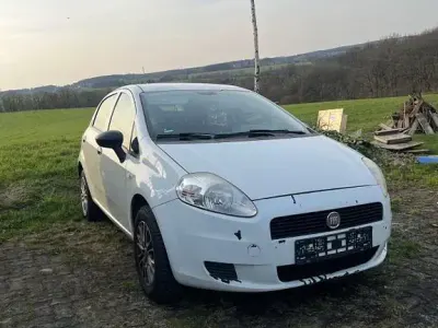 Usata Fiat Punto Evo 69 CV (50 kW) 2012 Bianco Utilitaria