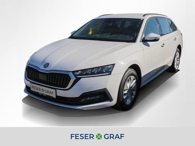Gebraucht Skoda Octavia Ambition 150 PS (110 kW) 2023 Candy weiss Kombi