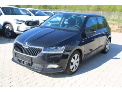 Usata Skoda Fabia